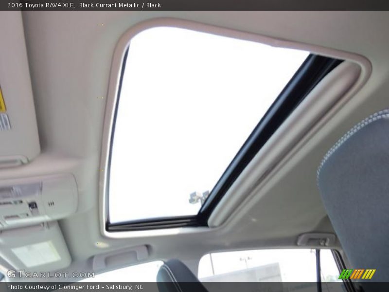 Black Currant Metallic / Black 2016 Toyota RAV4 XLE