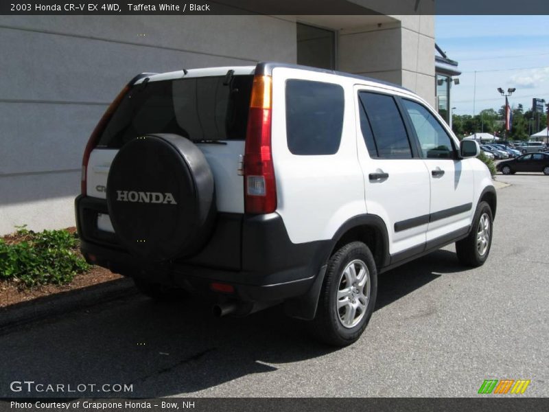 Taffeta White / Black 2003 Honda CR-V EX 4WD