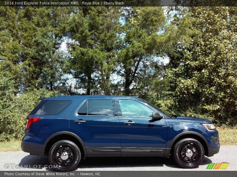 Royal Blue / Ebony Black 2016 Ford Explorer Police Interceptor 4WD