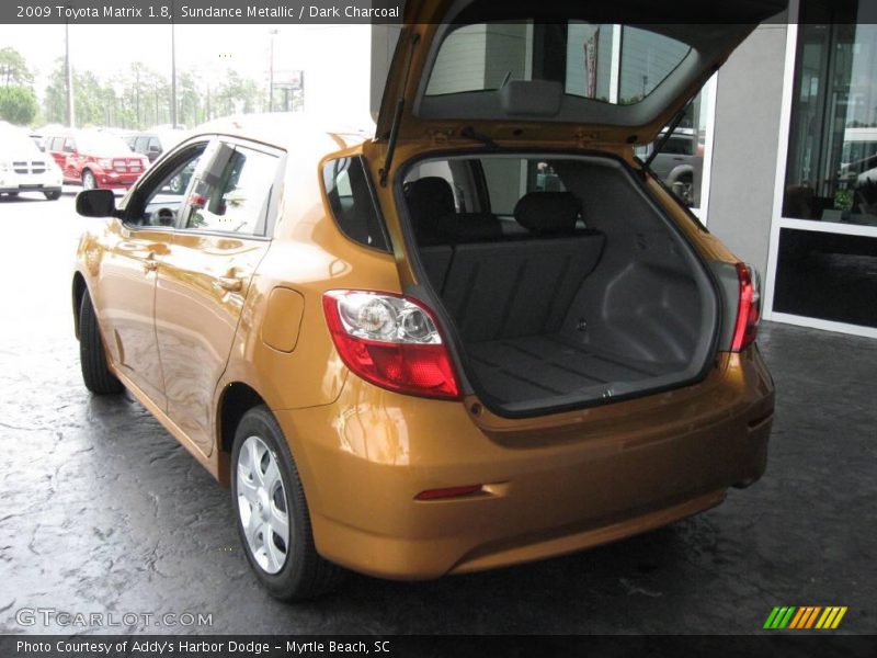 Sundance Metallic / Dark Charcoal 2009 Toyota Matrix 1.8