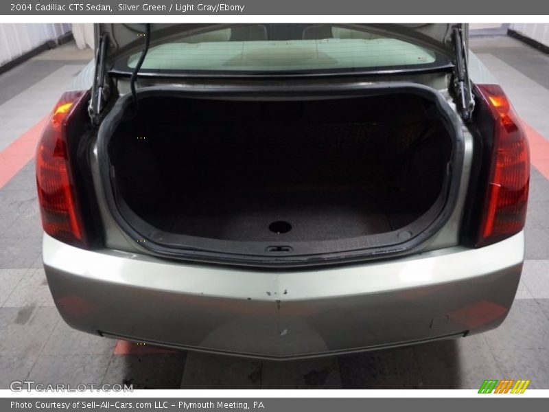 Silver Green / Light Gray/Ebony 2004 Cadillac CTS Sedan