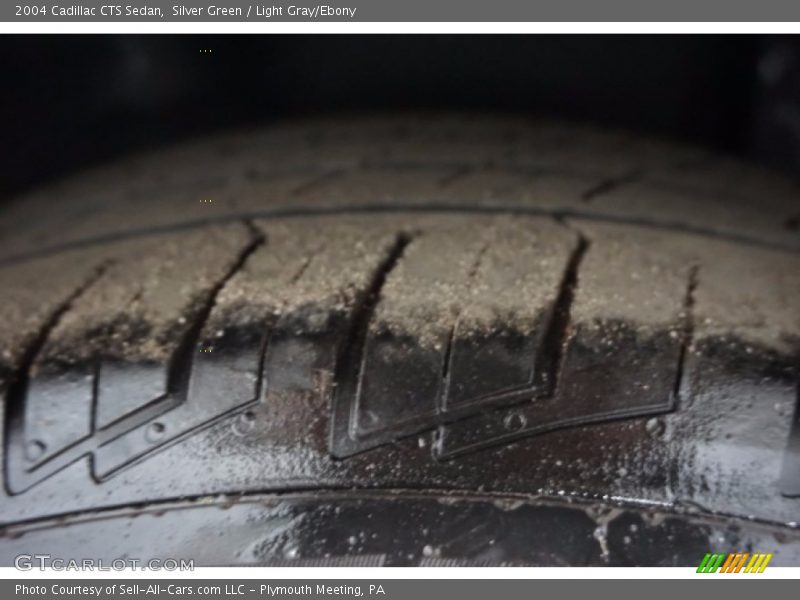 Silver Green / Light Gray/Ebony 2004 Cadillac CTS Sedan