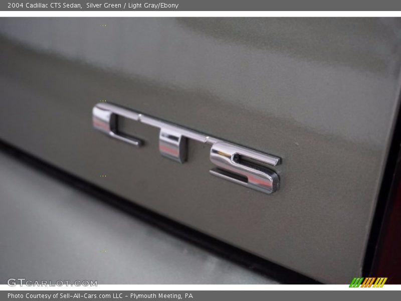 Silver Green / Light Gray/Ebony 2004 Cadillac CTS Sedan