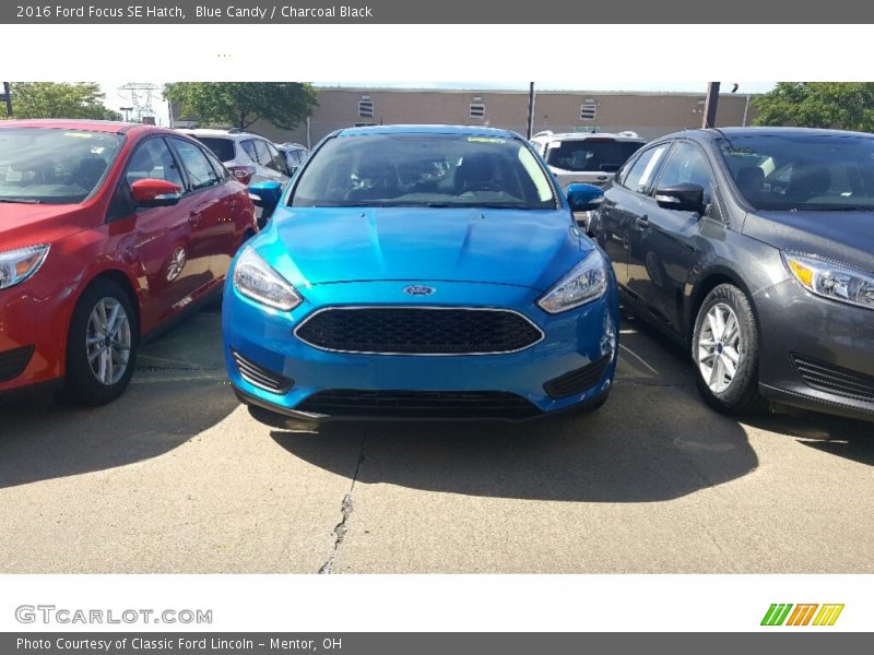 Blue Candy / Charcoal Black 2016 Ford Focus SE Hatch