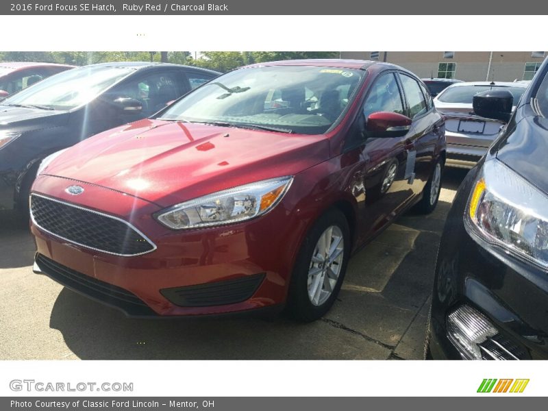 Ruby Red / Charcoal Black 2016 Ford Focus SE Hatch