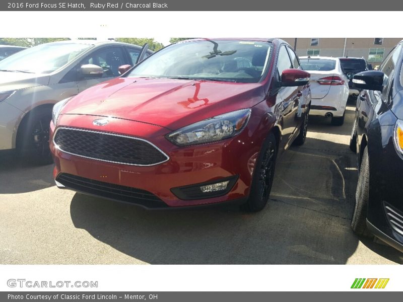 Ruby Red / Charcoal Black 2016 Ford Focus SE Hatch