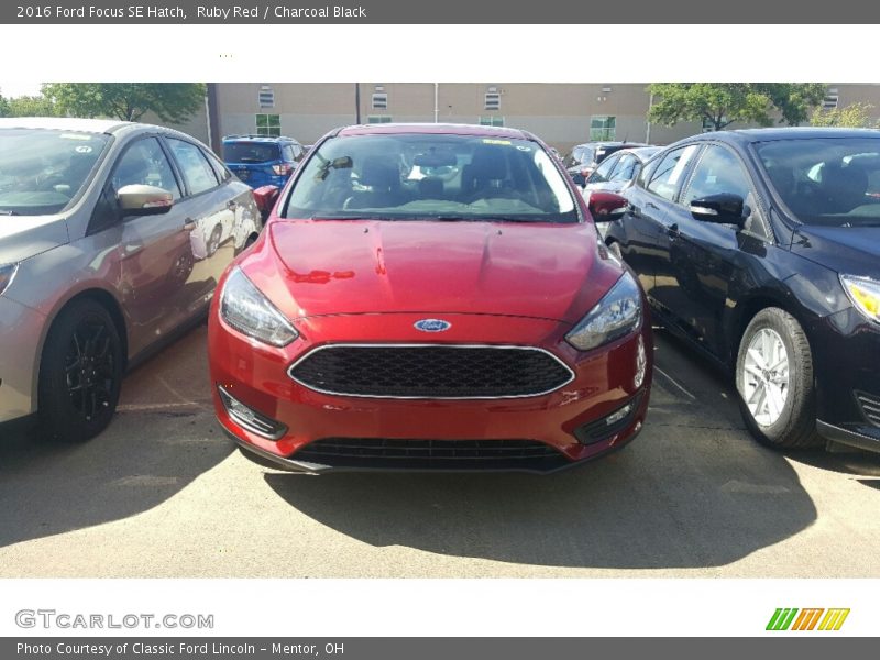 Ruby Red / Charcoal Black 2016 Ford Focus SE Hatch