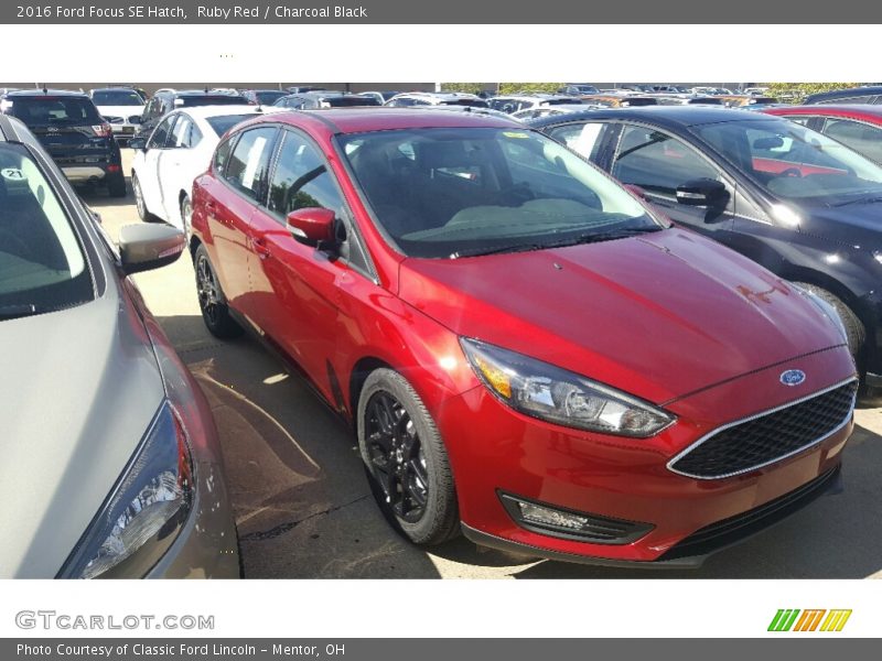 Ruby Red / Charcoal Black 2016 Ford Focus SE Hatch