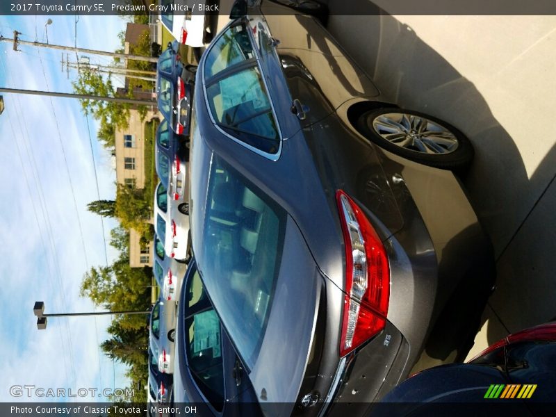 Predawn Gray Mica / Black 2017 Toyota Camry SE