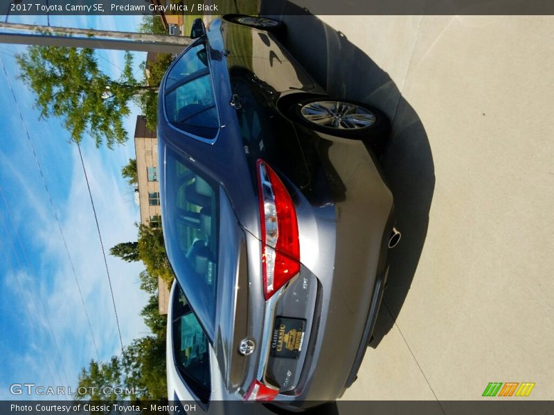 Predawn Gray Mica / Black 2017 Toyota Camry SE