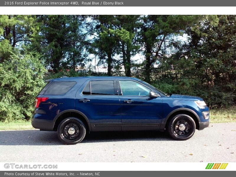 Royal Blue / Ebony Black 2016 Ford Explorer Police Interceptor 4WD