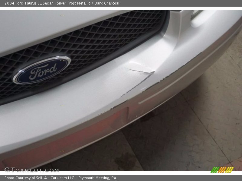 Silver Frost Metallic / Dark Charcoal 2004 Ford Taurus SE Sedan
