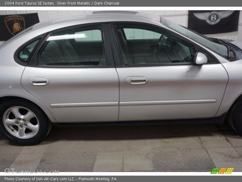 Silver Frost Metallic / Dark Charcoal 2004 Ford Taurus SE Sedan