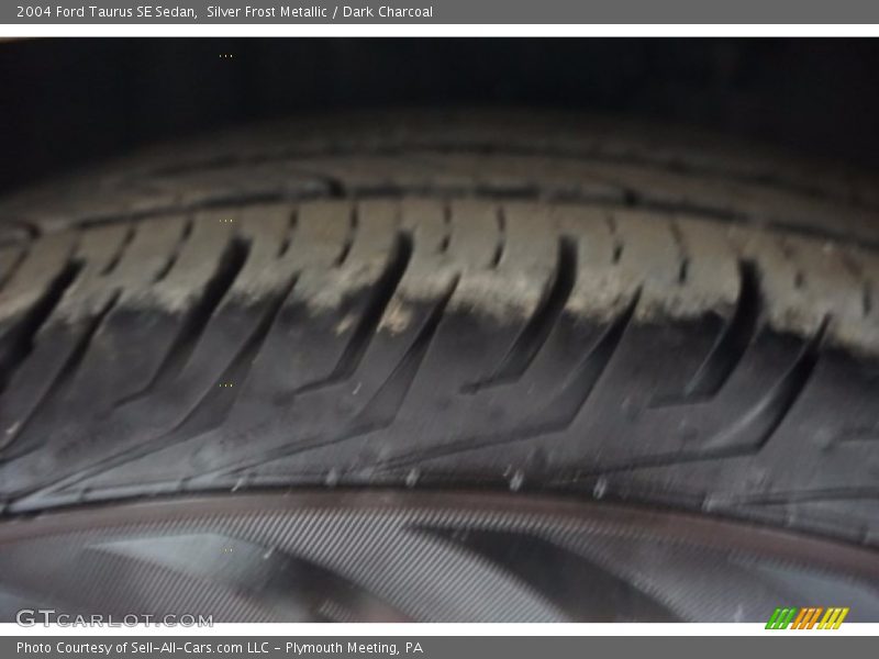 Silver Frost Metallic / Dark Charcoal 2004 Ford Taurus SE Sedan