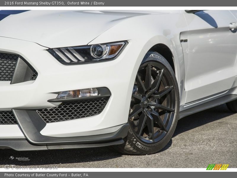 Oxford White / Ebony 2016 Ford Mustang Shelby GT350