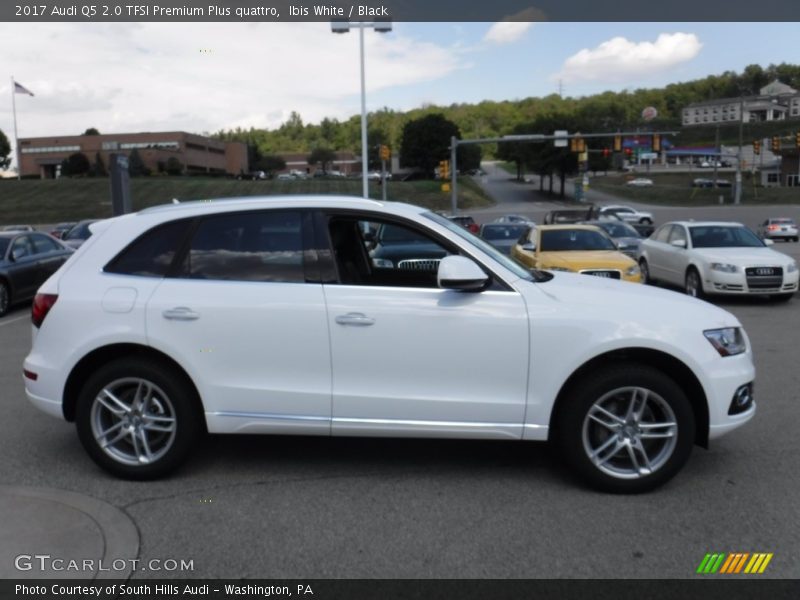  2017 Q5 2.0 TFSI Premium Plus quattro Ibis White
