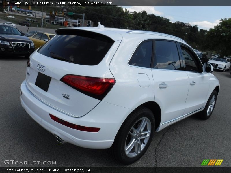 Ibis White / Black 2017 Audi Q5 2.0 TFSI Premium Plus quattro