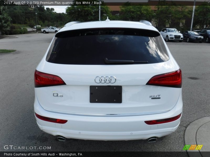 Ibis White / Black 2017 Audi Q5 2.0 TFSI Premium Plus quattro