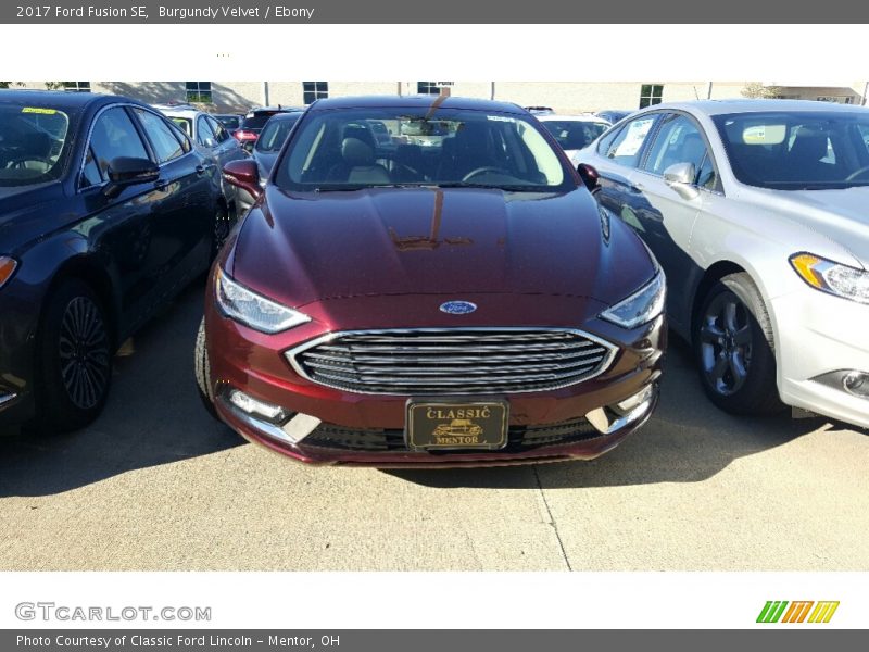 Burgundy Velvet / Ebony 2017 Ford Fusion SE
