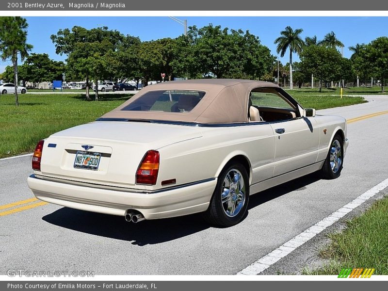 Magnolia / Magnolia 2001 Bentley Azure
