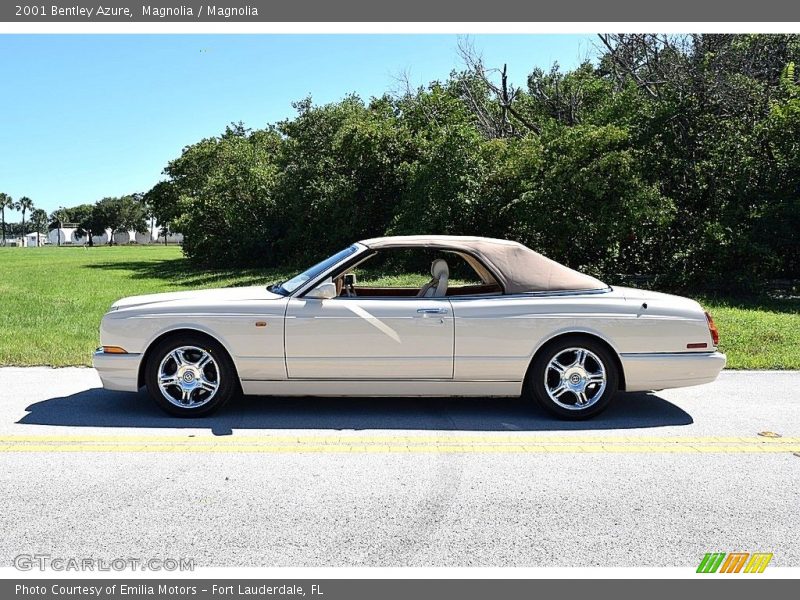 Magnolia / Magnolia 2001 Bentley Azure