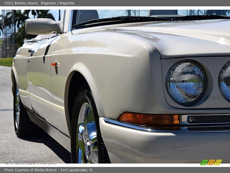 Magnolia / Magnolia 2001 Bentley Azure