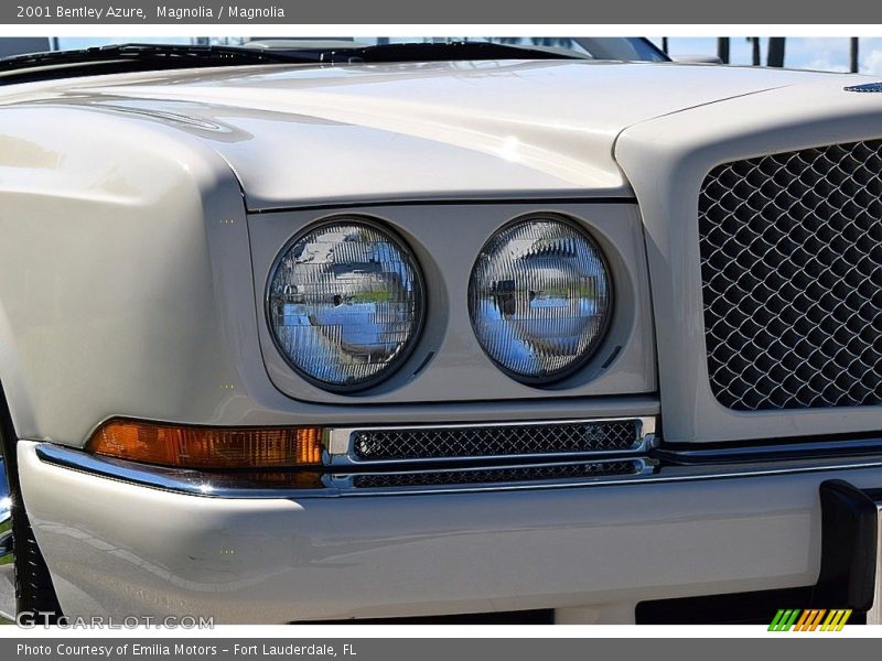 Magnolia / Magnolia 2001 Bentley Azure