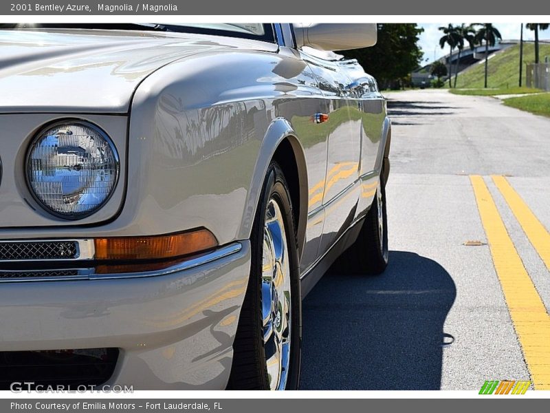 Magnolia / Magnolia 2001 Bentley Azure