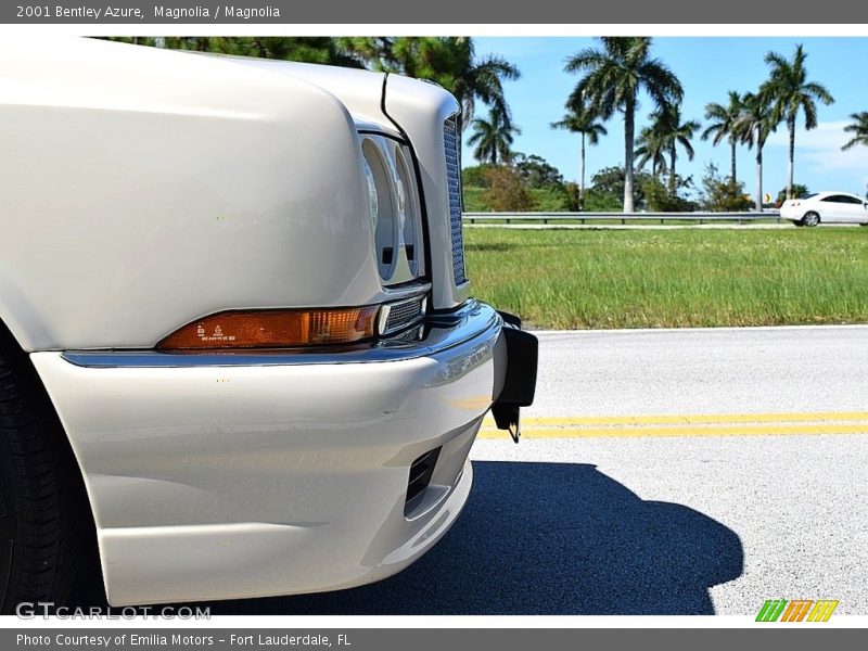 Magnolia / Magnolia 2001 Bentley Azure