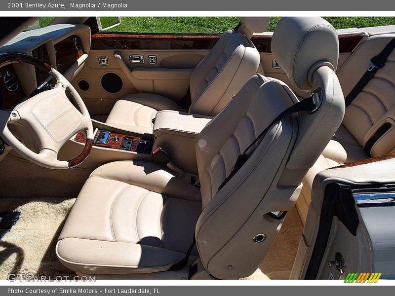 Magnolia / Magnolia 2001 Bentley Azure