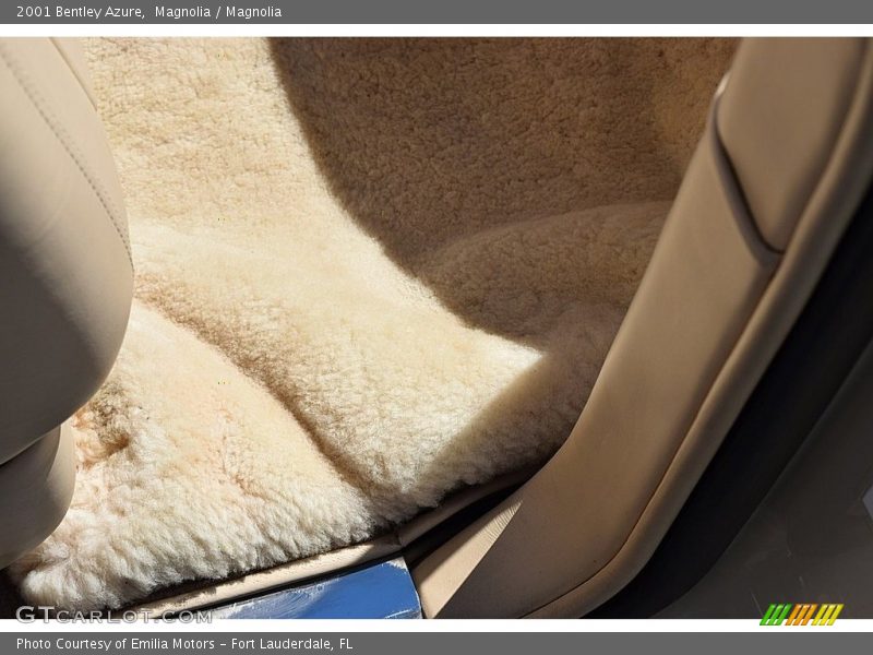 Magnolia / Magnolia 2001 Bentley Azure