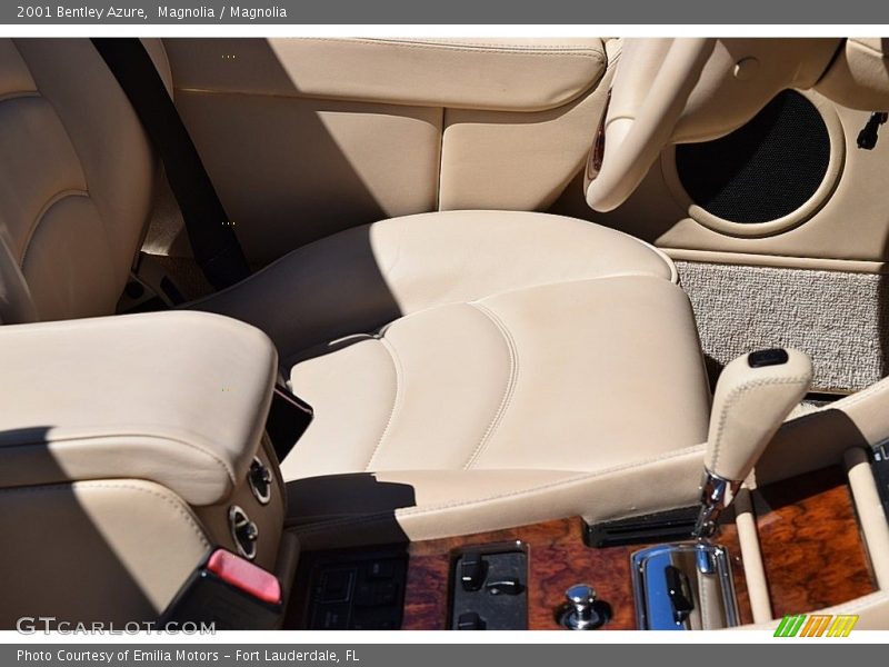 Magnolia / Magnolia 2001 Bentley Azure