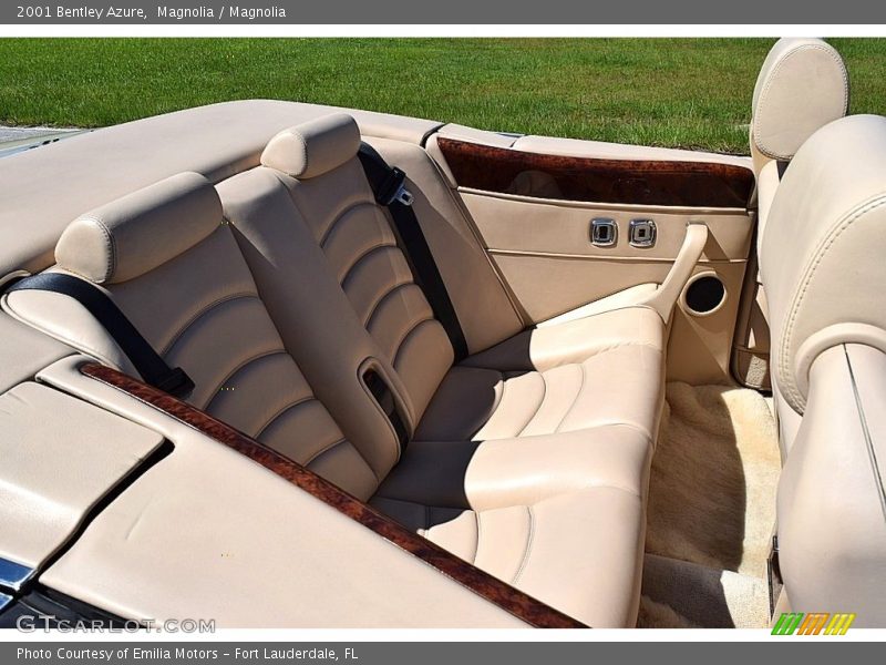 Magnolia / Magnolia 2001 Bentley Azure