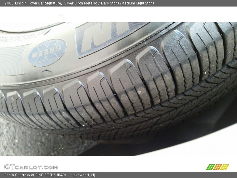 Silver Birch Metallic / Dark Stone/Medium Light Stone 2003 Lincoln Town Car Signature