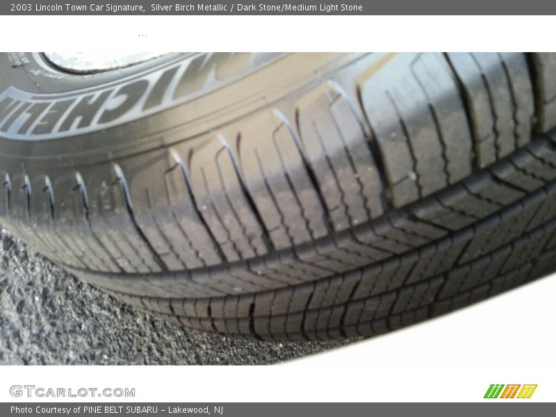 Silver Birch Metallic / Dark Stone/Medium Light Stone 2003 Lincoln Town Car Signature