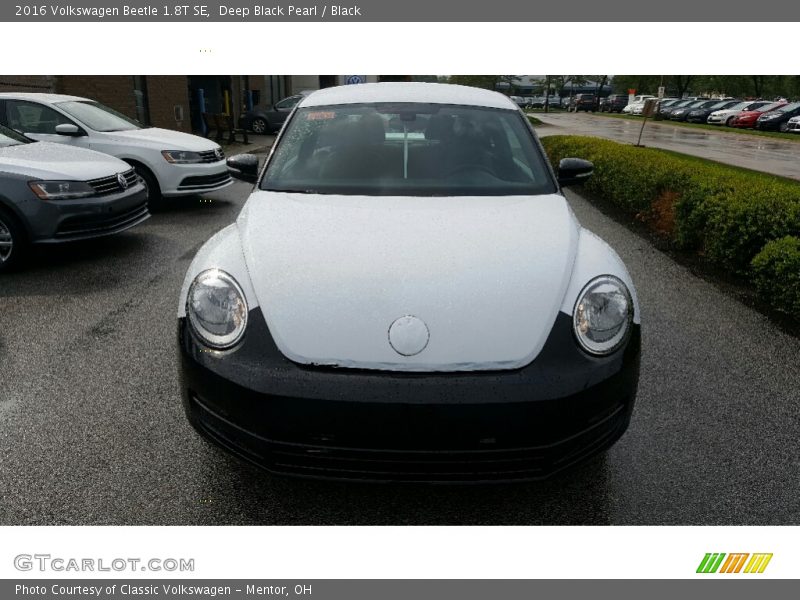 Deep Black Pearl / Black 2016 Volkswagen Beetle 1.8T SE