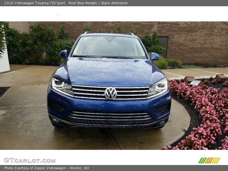 Reef Blue Metallic / Black Anthracite 2016 Volkswagen Touareg TDI Sport