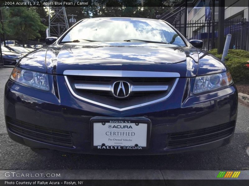 Abyss Blue Pearl / Camel 2004 Acura TL 3.2