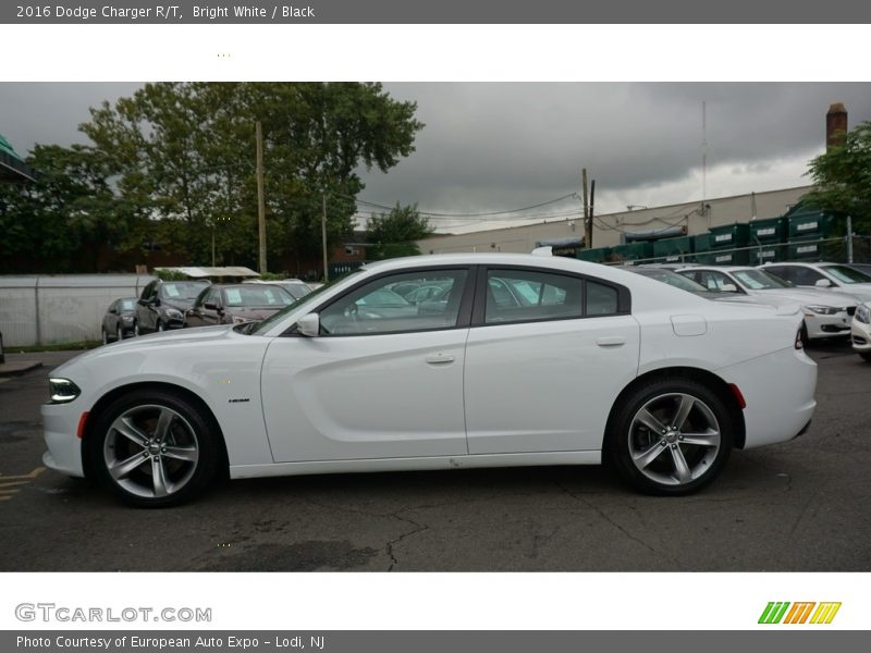 Bright White / Black 2016 Dodge Charger R/T