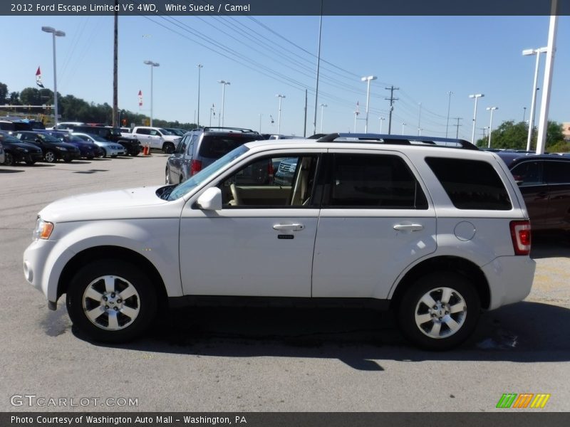 White Suede / Camel 2012 Ford Escape Limited V6 4WD