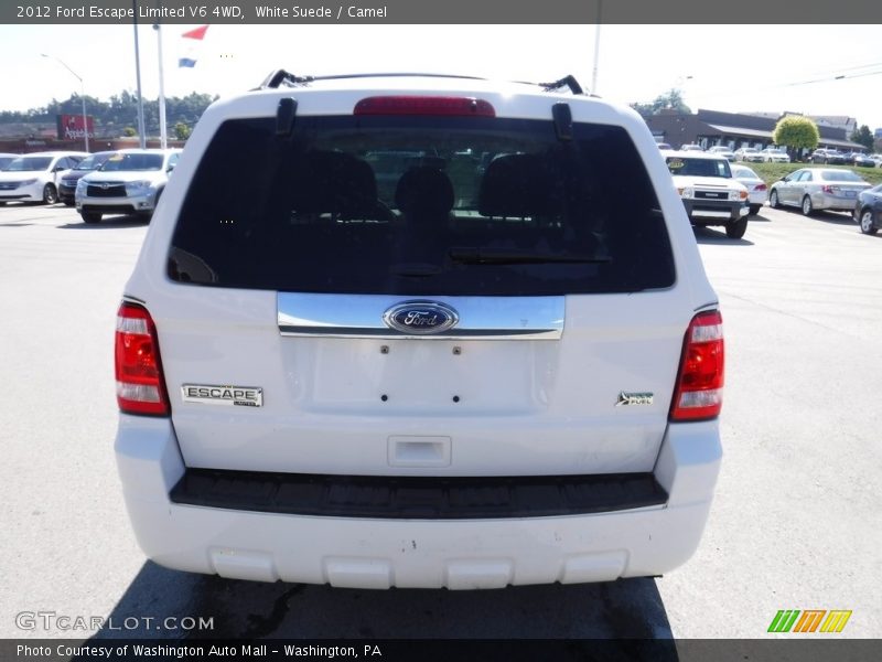White Suede / Camel 2012 Ford Escape Limited V6 4WD