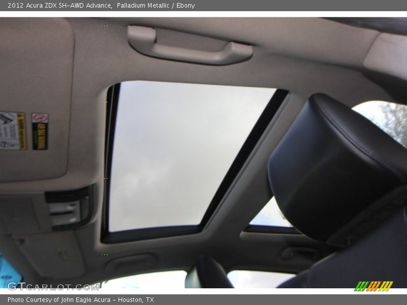 Palladium Metallic / Ebony 2012 Acura ZDX SH-AWD Advance