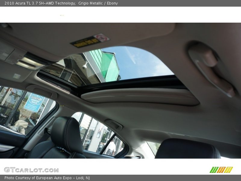 Grigio Metallic / Ebony 2010 Acura TL 3.7 SH-AWD Technology