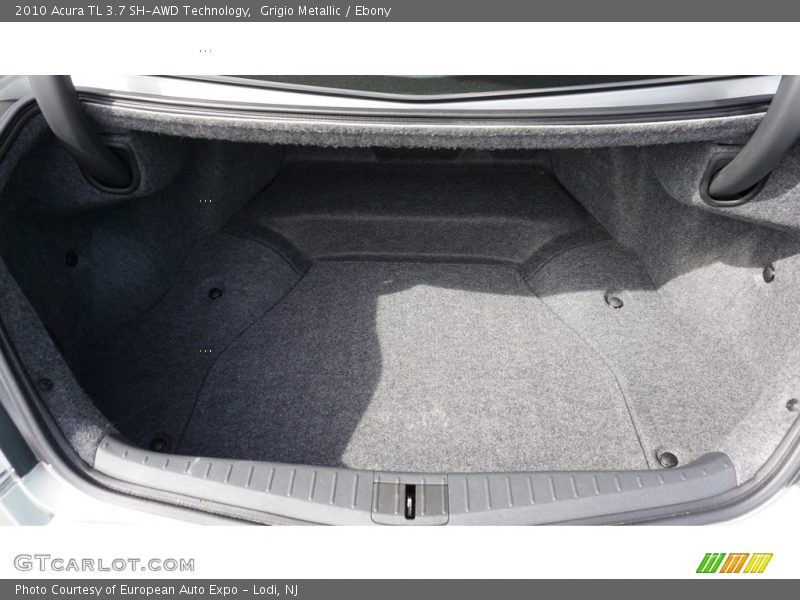 Grigio Metallic / Ebony 2010 Acura TL 3.7 SH-AWD Technology