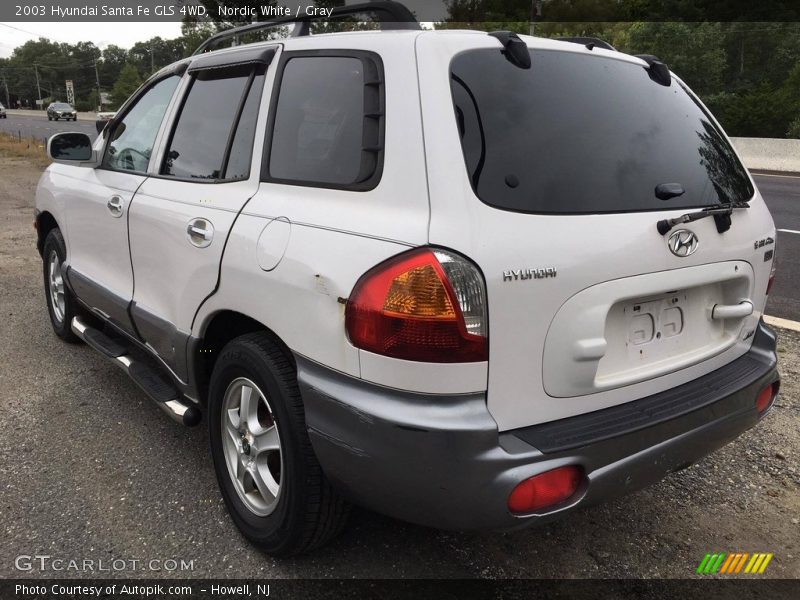 Nordic White / Gray 2003 Hyundai Santa Fe GLS 4WD