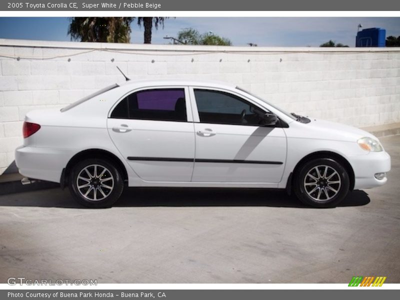 Super White / Pebble Beige 2005 Toyota Corolla CE