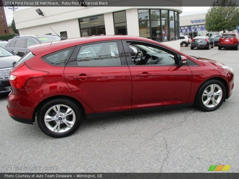 Ruby Red / Charcoal Black 2014 Ford Focus SE Hatchback