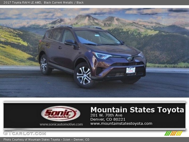 Black Current Metallic / Black 2017 Toyota RAV4 LE AWD