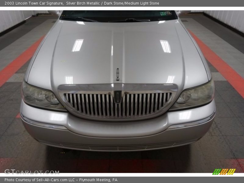 Silver Birch Metallic / Dark Stone/Medium Light Stone 2003 Lincoln Town Car Signature