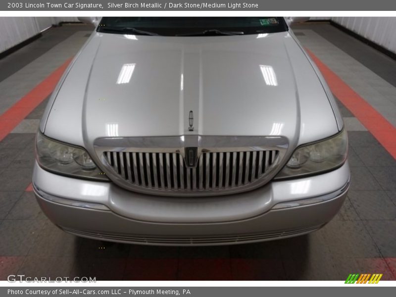 Silver Birch Metallic / Dark Stone/Medium Light Stone 2003 Lincoln Town Car Signature